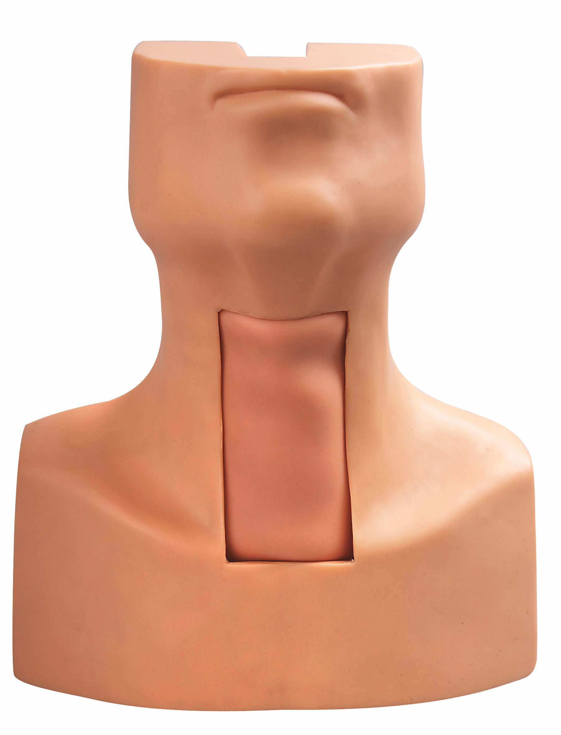訓練のための模倣された気管および首の皮が付いている Tracheostomy の穿刺の挿管法モデル
