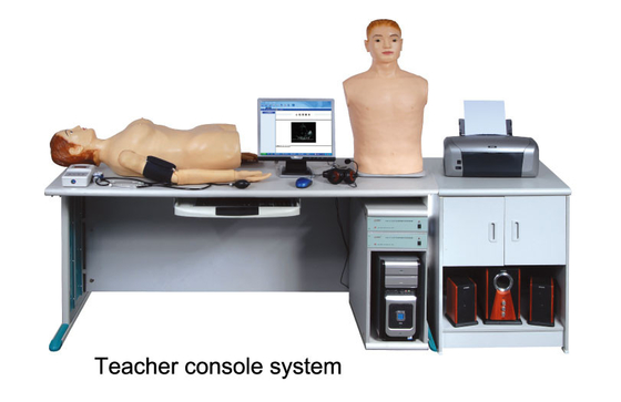 心肺の 聴診 の人体摸型、医学のシミュレーション装置との物理的な診断